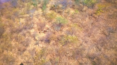 View of the immobilisation from the chopper: looking level